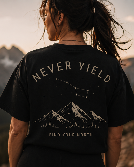 True North